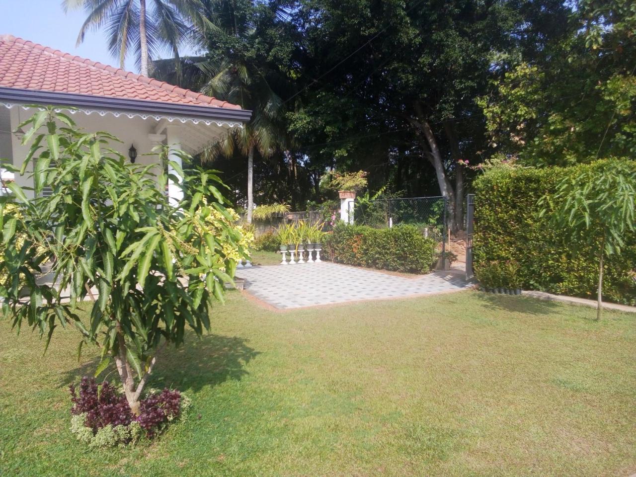 Green Grass Garden Appartamento Negombo Esterno foto