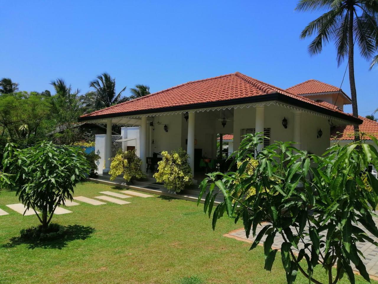 Green Grass Garden Appartamento Negombo Esterno foto